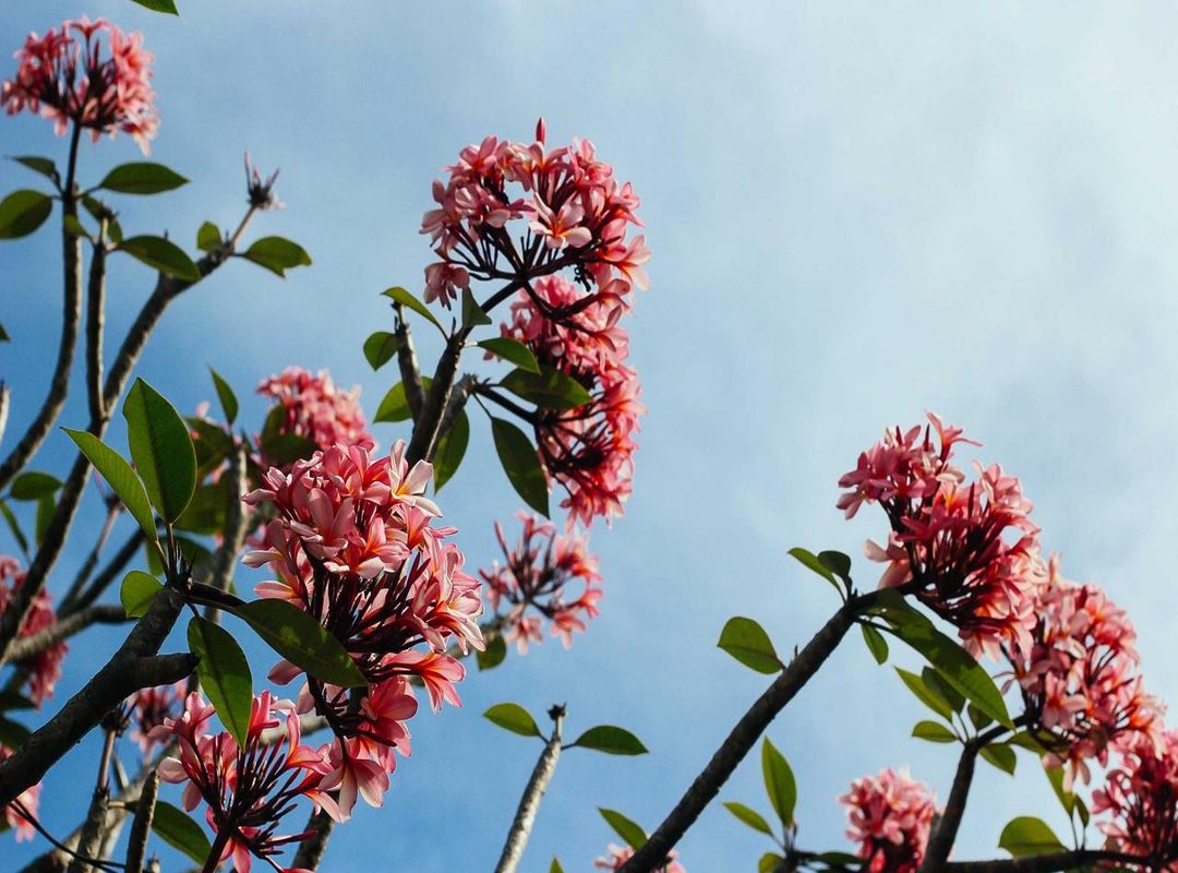 Spotting the Signs: A Gamer's Guide to Recognizing Respectful Themes