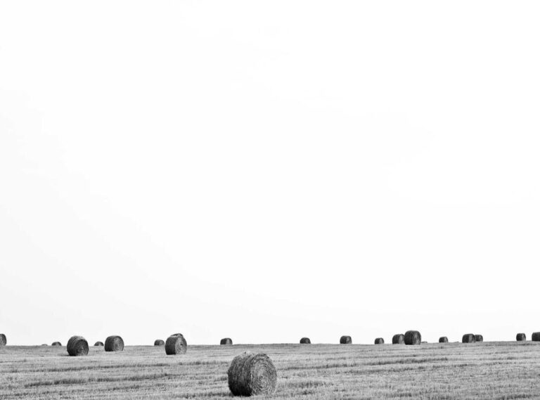 low:8-opwl-vsag= burst fade