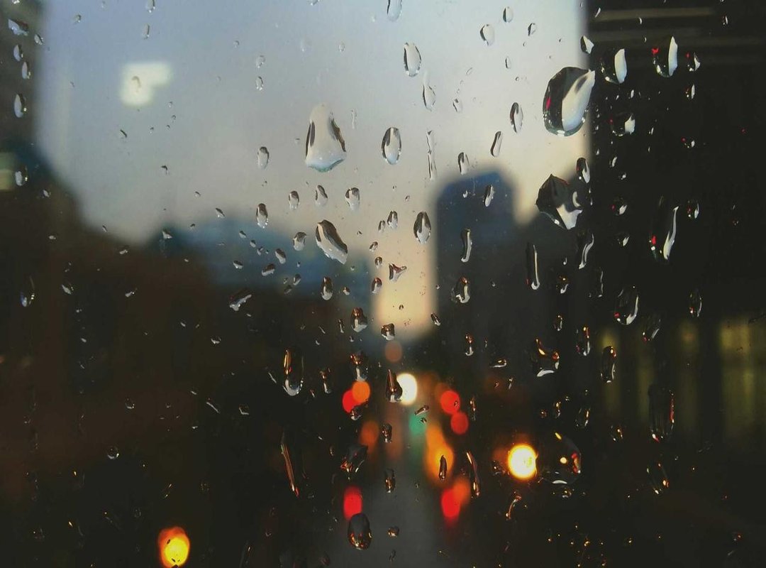 From Ponds to Hospitals: The Surprising Medical Uses of Leeches