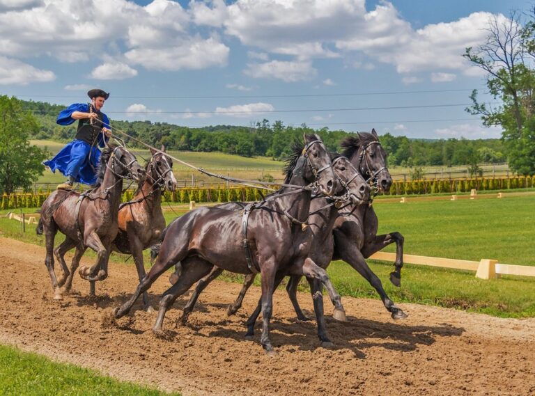 What Are the Most Popular Horse Racing Events Jexpgames