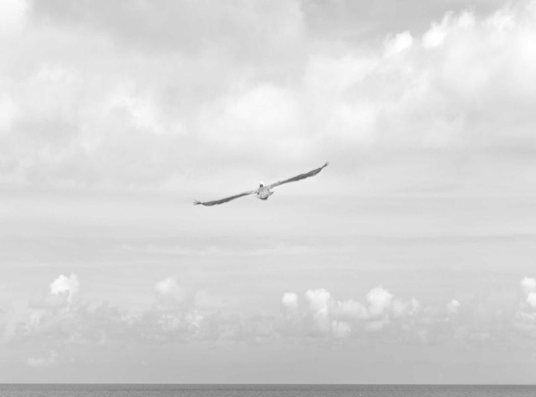 Creating a Narrative: How Flowers Combine with Other Powerful Symbols